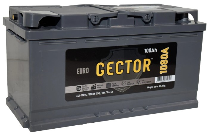 GECTOR 100 3